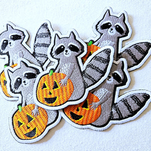 Halloween Raccoon Patch