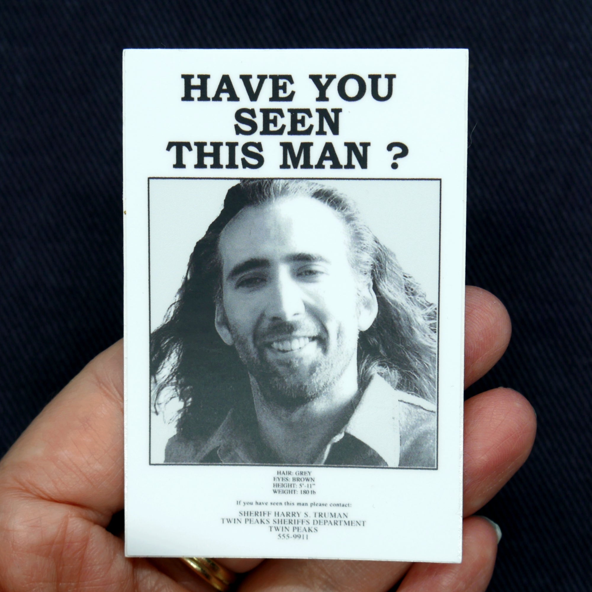 Have You Seen Nic Cage? Sticker