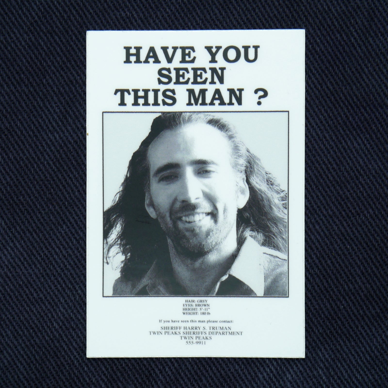 Have You Seen Nic Cage? Sticker
