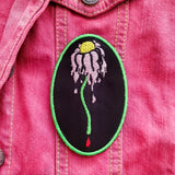 pink daisy flower patch